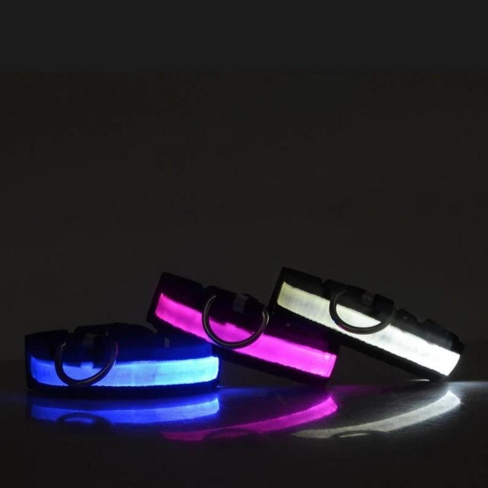 USB Charging Waterproof Reflective LED Dog Collar, Adjustable Glow Leash Light for Pets Camping Gear, Escape-Proof Safety Buckle Night Anti-Loss Collar for Small Medium Dogs Cats Outdoor Adventure, Illuminated Leash