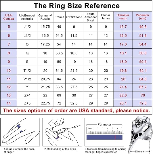 FaithHeart Viking Raven Ring For Men Skull Ring Stainless Steel