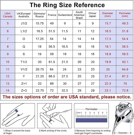 FaithHeart Viking Raven Ring For Men Skull Ring Stainless Steel