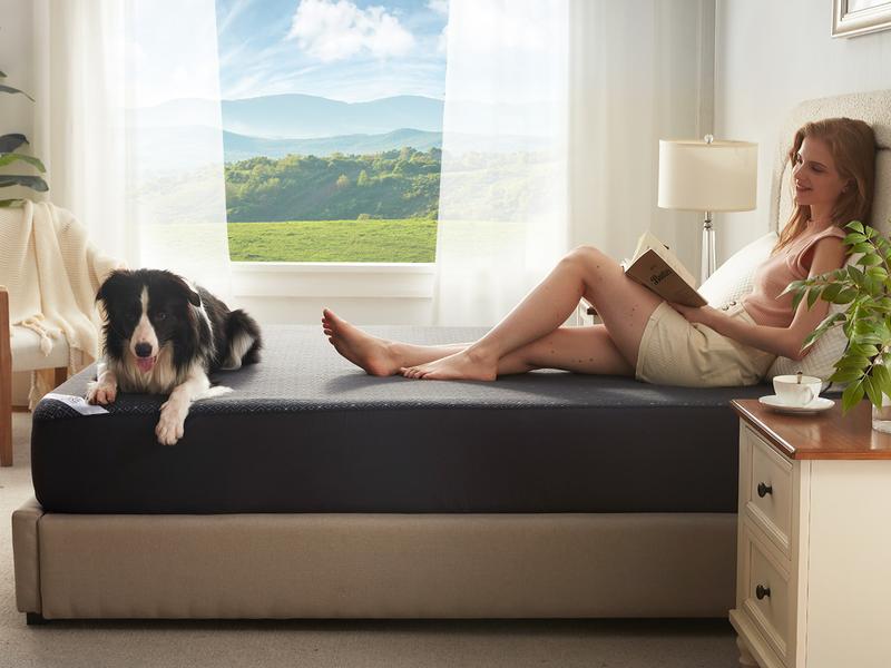 【BEDLORE】4-Grid Pattern Waterproof Fitted Sheet, Soft & Breathable Non-Slip Bed Sheet with Deep Pockets, Ideal for Bedroom & Home Use