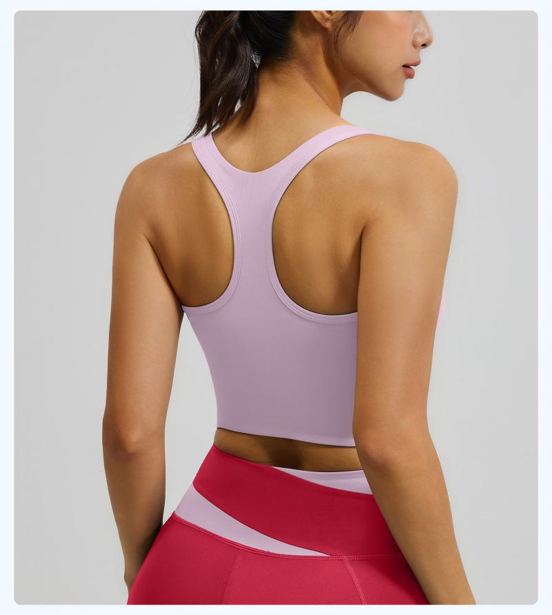 Color Block Sports Bra for Women, High Impact Shockproof & Push Up Fitness Tank Top, Running Yoga Beauty Back Bra