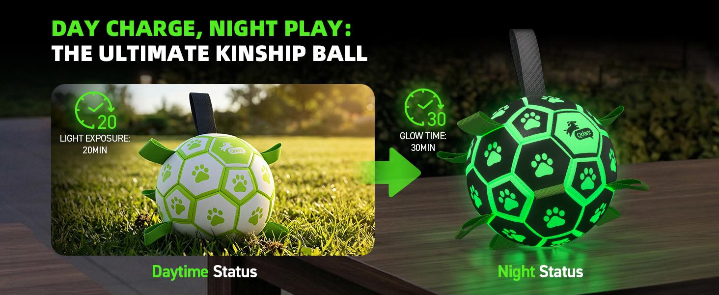 Glow in The Dark Dog Toys Soccer Ball with Straps, Outdoor Interactive Dog Toys Puppy Birthday Gifts, Dog Tug Water Toy, Light Up Dog Balls for Small & Medium Dogs（6 Inch Size 2）