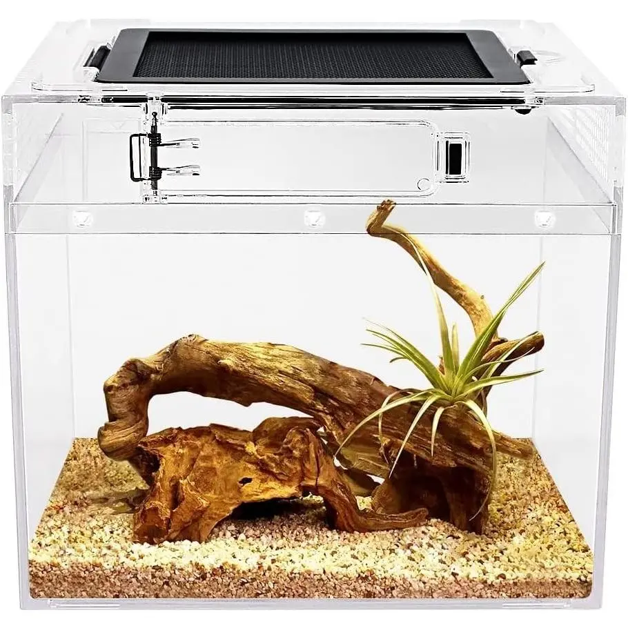 Mini Reptile Terrarium, 8" x 8" x 8" Full View Tank for Insects, Fish, Tarantulas, Hermit Crabs, Jumping Spiders, Iguanas, Tortoises, Leopard Geckos, Frogs, Bearded DragonsGift