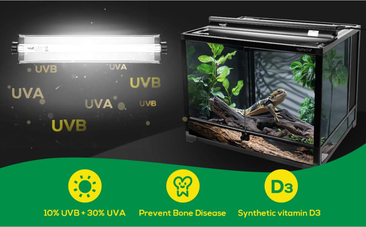 T5 Reptile Light Fixture Combo Kit 24W Light Fixture Reptile Terrarium Hood 10.0 UVB Light Bulb dimmable Fluorescent Tube Ideal for Tropical and Deserts Such as Bearded Dragon Lizards and Tortoises T5 Reptile Light Fixture Combo Kit 24W Light Fixture Reptile Terrarium Hood 10.0 UVB Light Bulb dimmable Fluorescent Tube Ideal for Tropical and Deserts Such as Bearded Dragon Lizards and Tortoises