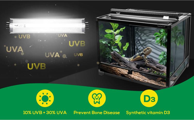 T5 Reptile Light Fixture Combo Kit 24W Light Fixture Reptile Terrarium Hood 10.0 UVB Light Bulb dimmable Fluorescent Tube Ideal for Tropical and Deserts Such as Bearded Dragon Lizards and Tortoises T5 Reptile Light Fixture Combo Kit 24W Light Fixture Reptile Terrarium Hood 10.0 UVB Light Bulb dimmable Fluorescent Tube Ideal for Tropical and Deserts Such as Bearded Dragon Lizards and Tortoises