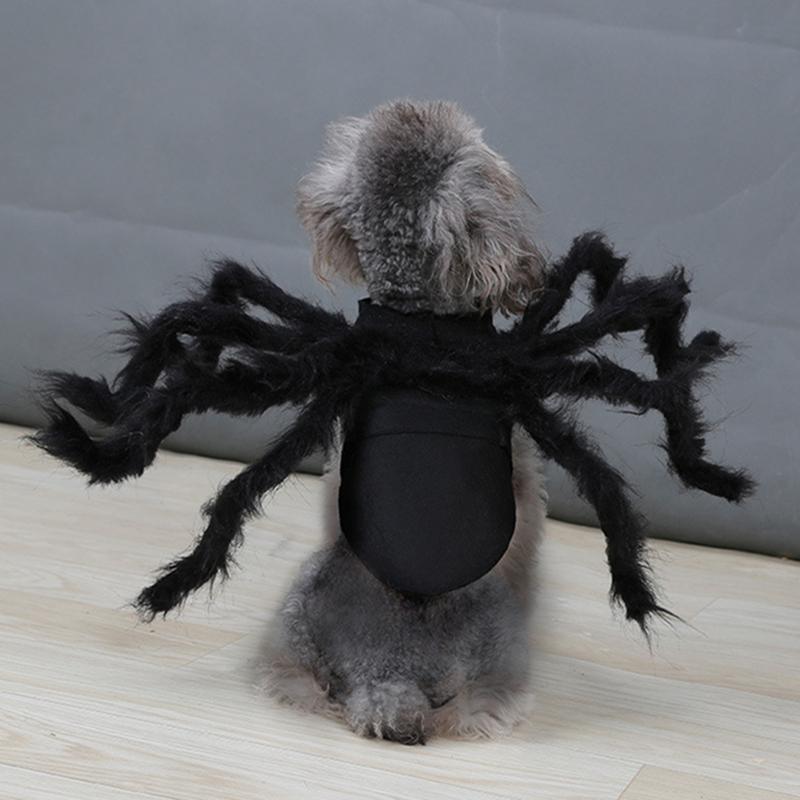 Cat Halloween Costume Cat Bat Wings - Pet Bat Costume Dress Costume Outfit Wing for Small Dogs Cats 2025 Newest Pet Halloween