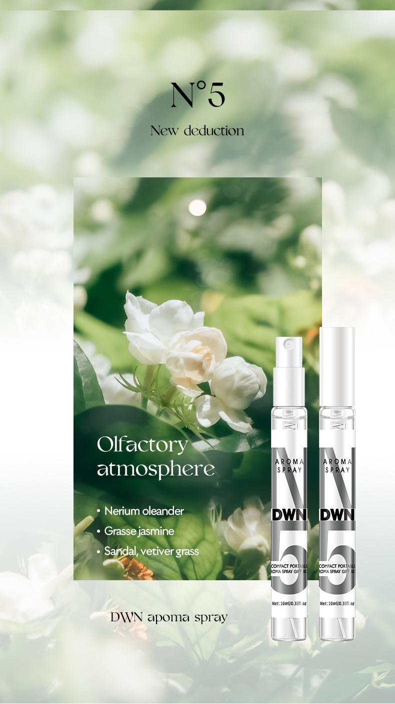 High-End Secret Perfume Set 10 X 10ML, Luxury Fragrances, Perfect Gift for Perfume Lovers, Perfume Sampler Set for Beginners