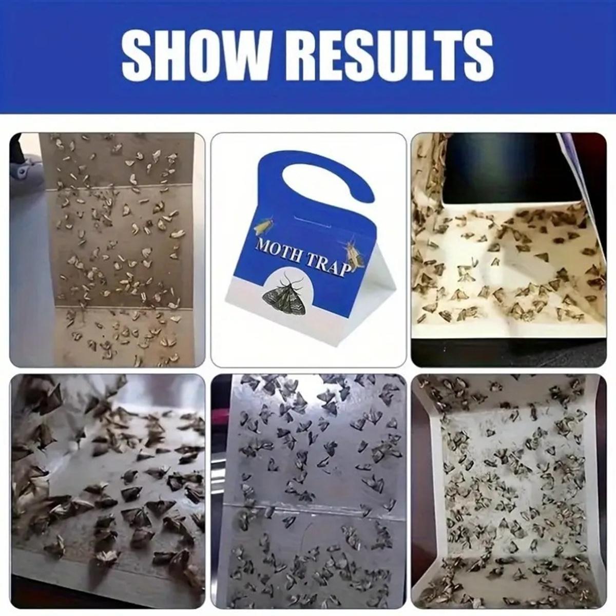 5-Pack Clothes & Carpet Moth Monitoring Traps Pheromone Sticky Moth Traps Set, Non-Toxic Glue Trap, Efficient for Closet Textile Moths & Food Storage Cupboard Moths for Wardrobe | Premium Moth Monitoring Catchers Indoors Moth Traps