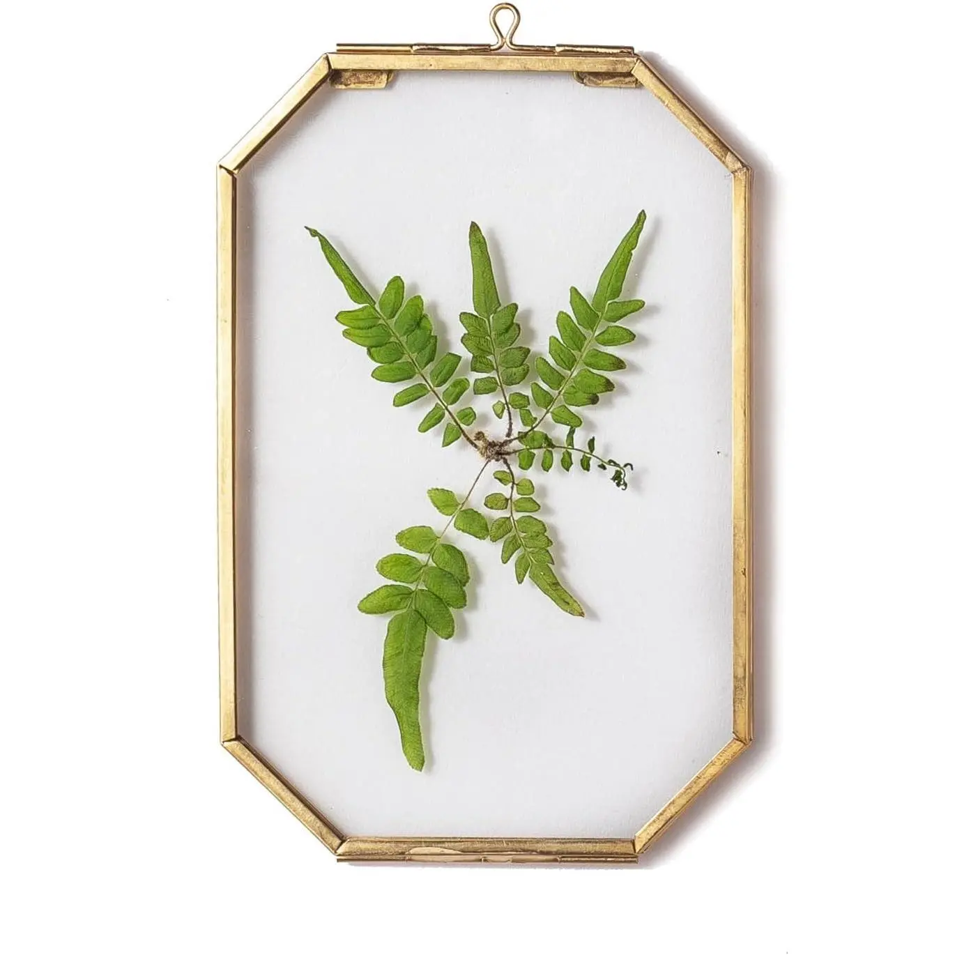4" x 6" Small Glass Floating Frame with Chain for Artwork Photo, Picture, Pressed Dried Flowers, Plant Specimen - Home Wall Hanging Decor, Octagon, Gold, Handmade (Glass Frame Only)