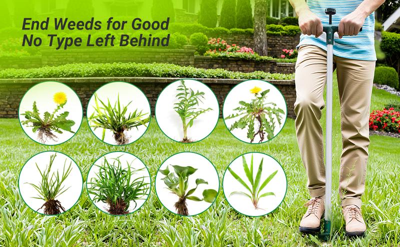 Classic Weeder Tool - Long Handle Weeder Puller with 3-Claw Head | Standing Root Extractor for Dandelions & Tough Grass| Garden Clearance Special (1 Pack)