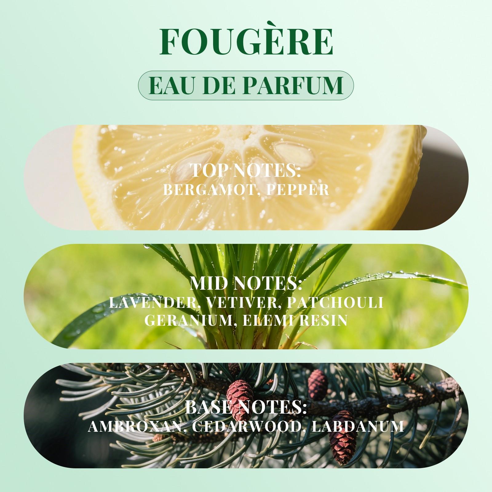 Zone Eau De Parfum 10ML, Citrus Pepper Opening, Lavender Vetiver Middle, Cedar Orris Base, Roll-On Application, Unique Woody Scent