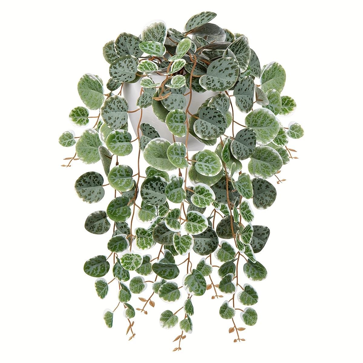 Trending Money Leaf Wall Hanging Draping Realistic Greenery Direct From Factory Wedding Home Soft Decor Artificial Flowers