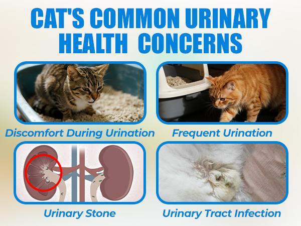 Just Try Urinary Tract Bites Cat Treat – Cranberry & D-Mannose Formula for UTI Prevention & Bladder Support, Chicken Flavor (6.35 oz, 300 Bites)