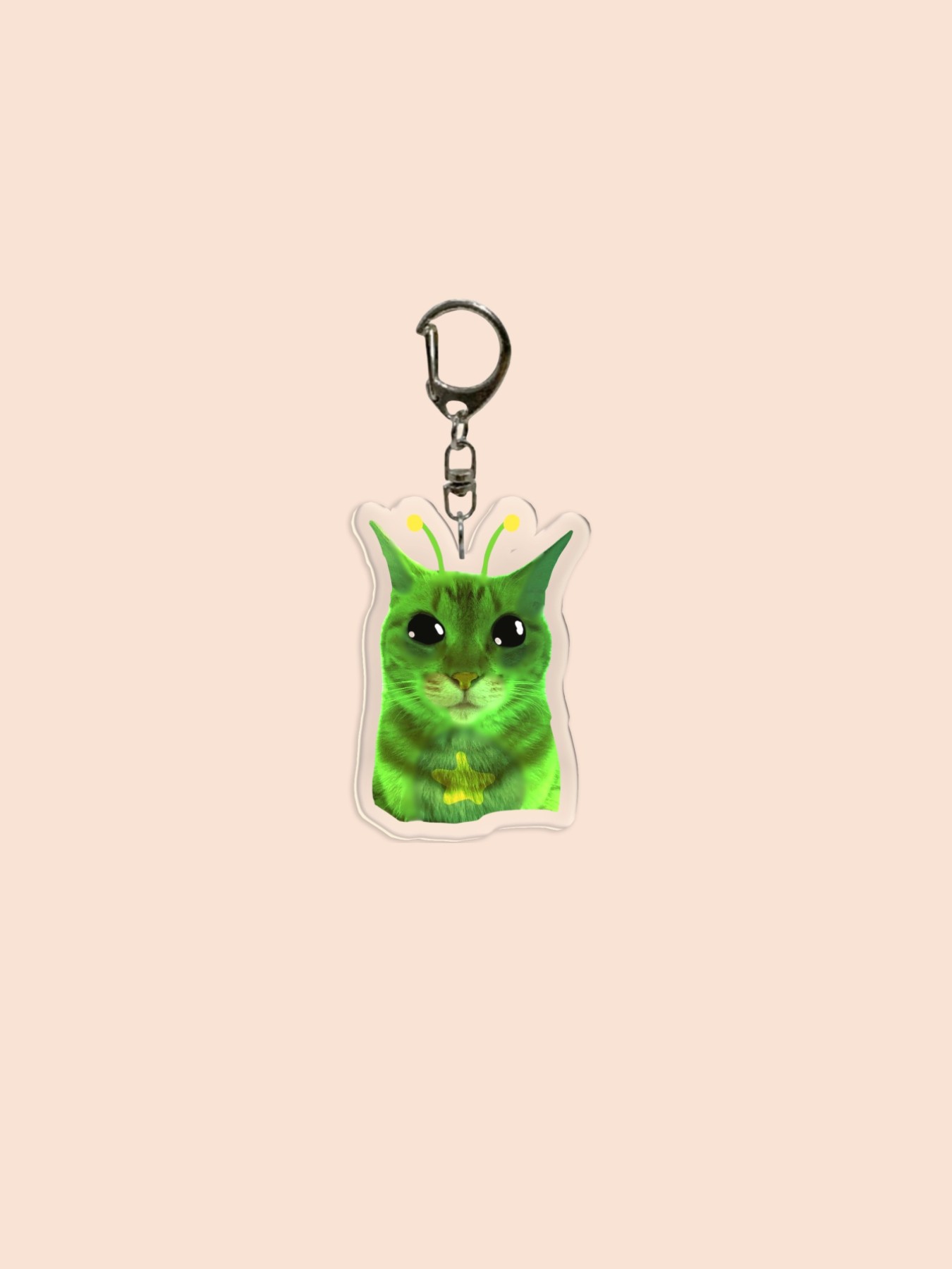 Funny Alien Acrylic Keychain, Face, Alien Cat, Sad Cat Pendant, Backpack Charm, Phone Accessory, Wallet Clip, Friend Gift