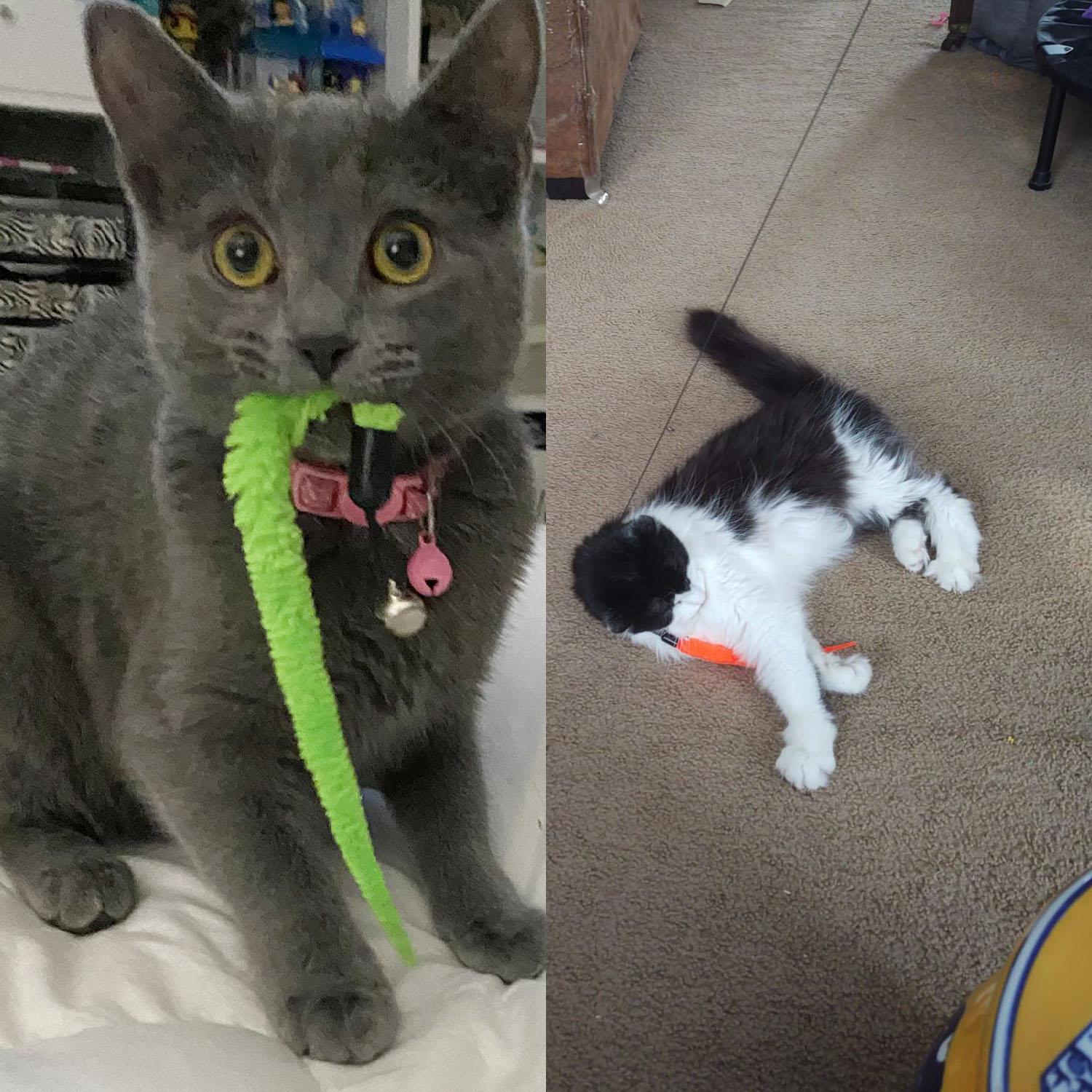 Cat Toy Replacement Set, Interactive Cat Toys & Accessories, Durable Design for Indoor Cats, Perfect Gift for Feline Lovers