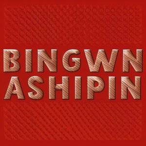 BINGWNASHIPIN
