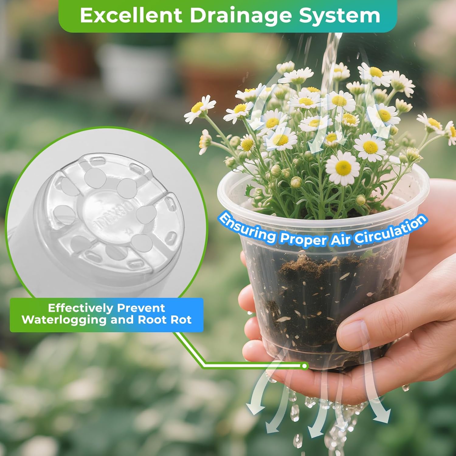 Pots for , 30 Packs Clear  Pots with Drainage, 3/4/5 Inch Plastic Planter Pots Including 30  Labels in Yellow White Blue (30)