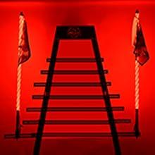 Nilight 2PCS 5FT RGB LED Whip Light with Spring Base Remote & App Control w/DIY Chasing Patterns Turn Signal & Brake Lights for ATV UTV Polaris RZR Can-am Dune Buggy Jeep Flexible  dealsforyoudays