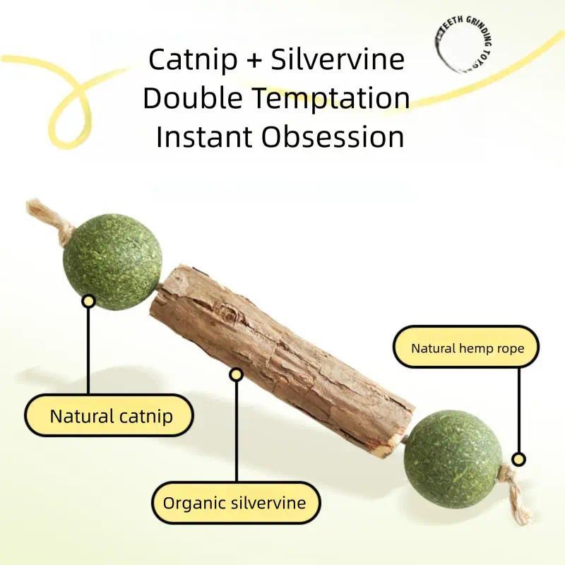 8-Pack Silvervine & Catnip Chew Sticks – Cat Dental Chew Toy, Helps Clean Teeth & Calm Cats
