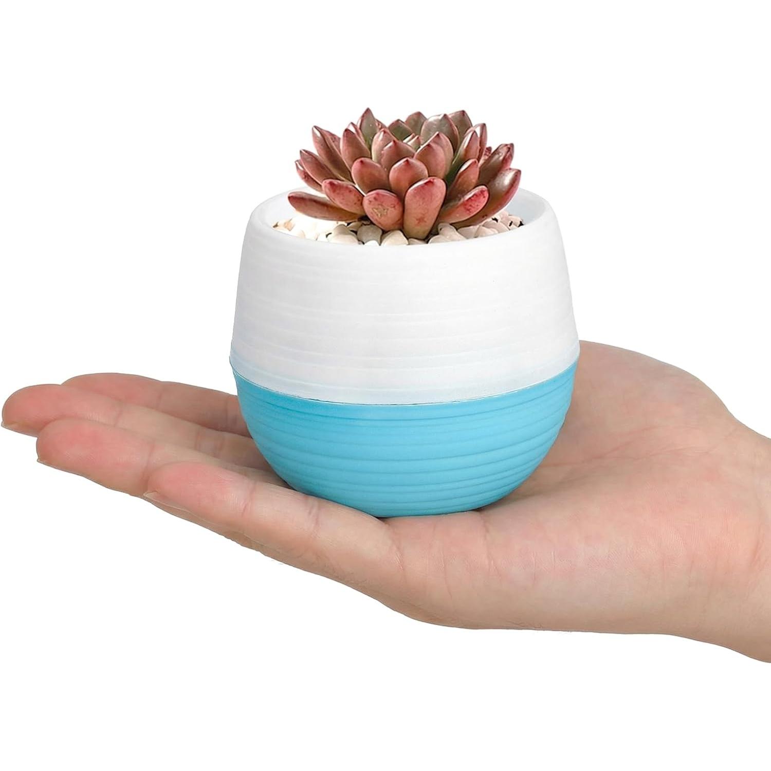30 Pack Mini Succulent Pot, 3 Inch Plastic Seed Starter Pots Small Cute Succulent Planter with Drainage for Indoor & Outdoor ,  Decor, Free Assembly