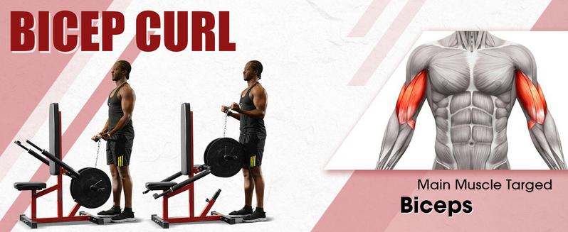 Seated Dip Machine with Cable Bar for Biceps Chest Training, Load Capacity Up to 400LBS, Durable Fitness Equipment Weight Plates Heavy Duty Adjustable