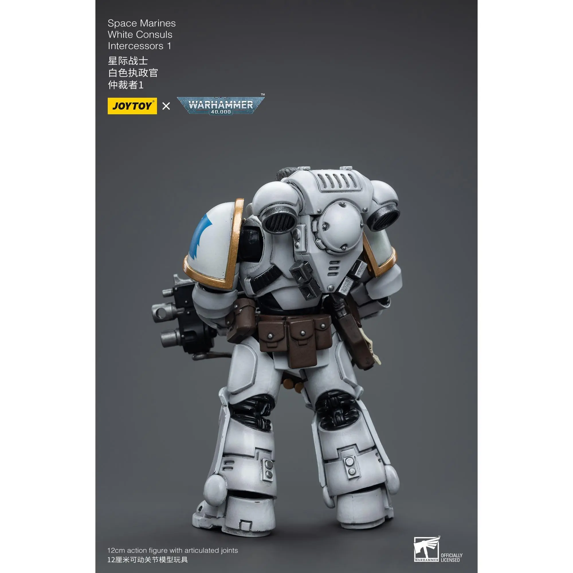 Original JOYTOY Warhammer 40k Space Marines White Consuls Intercessors 1 1/18 Action Figure Brand New in Stock