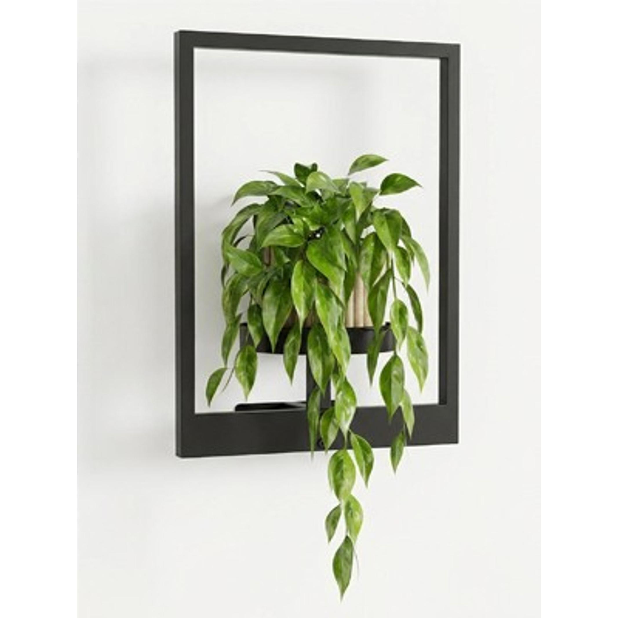 Picture Frame Wall Planters Set of 3, Modern Metal Hanging Shelves for Plants, Rustproof Wall Mount Flower Pot Holder for Indoor Outdoor, Decorative Plant Stand for Living Room Patio, Black Picture Frame Wall Planters Set of 3, Modern Metal Hanging Shelves for Plants, Rustproof Wall Mount Flower Pot Holder for Indoor Outdoor, Decorative Plant Stand for Living Room Patio, Black
