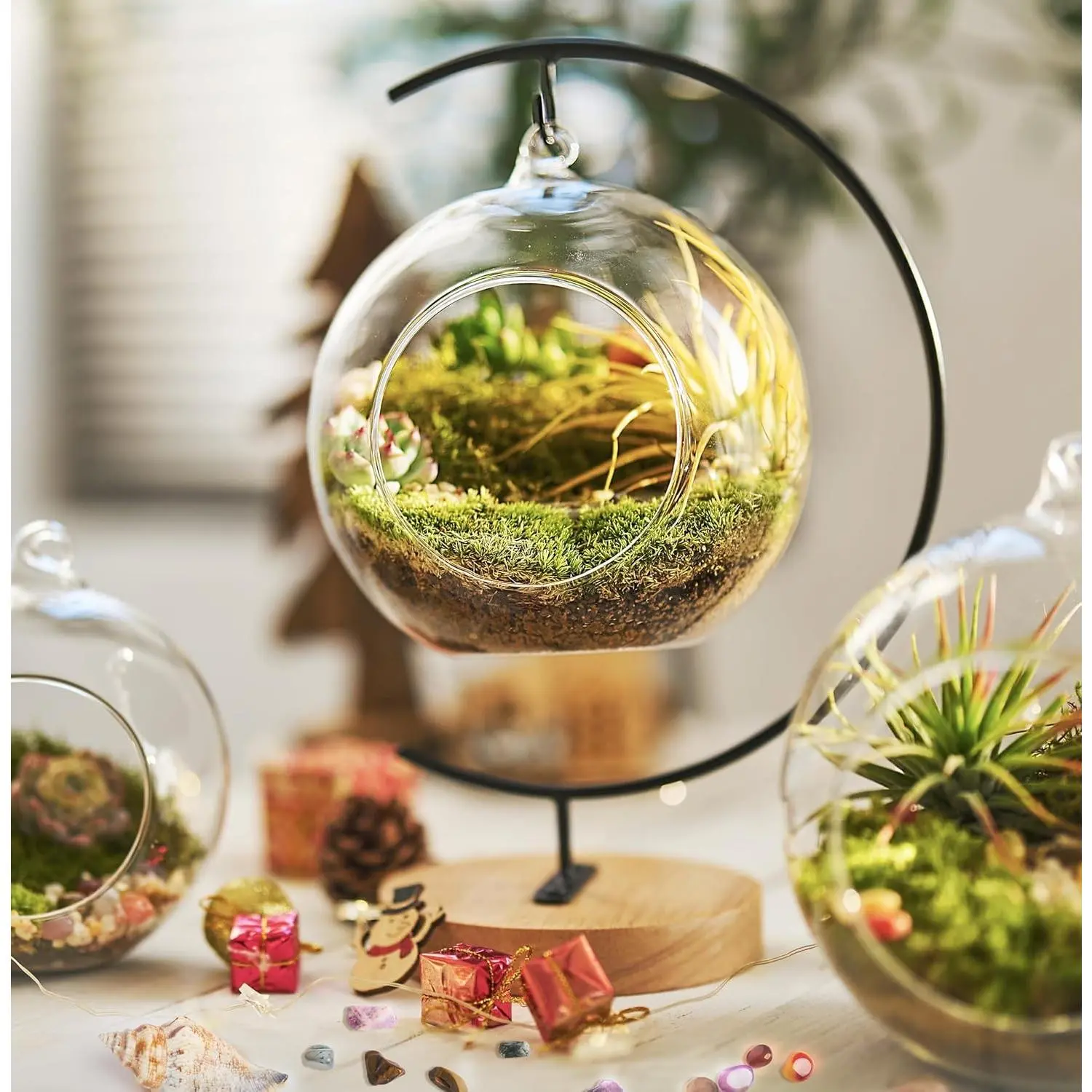 DIY Terrarium Kit with Live Moss, 15-Piece Glass Globe Set with Wooden Stand, Tools, Soil, Stones & Spray Bottle, Indoor Mini Garden Gift for Plant Lovers, Home Desk Decor