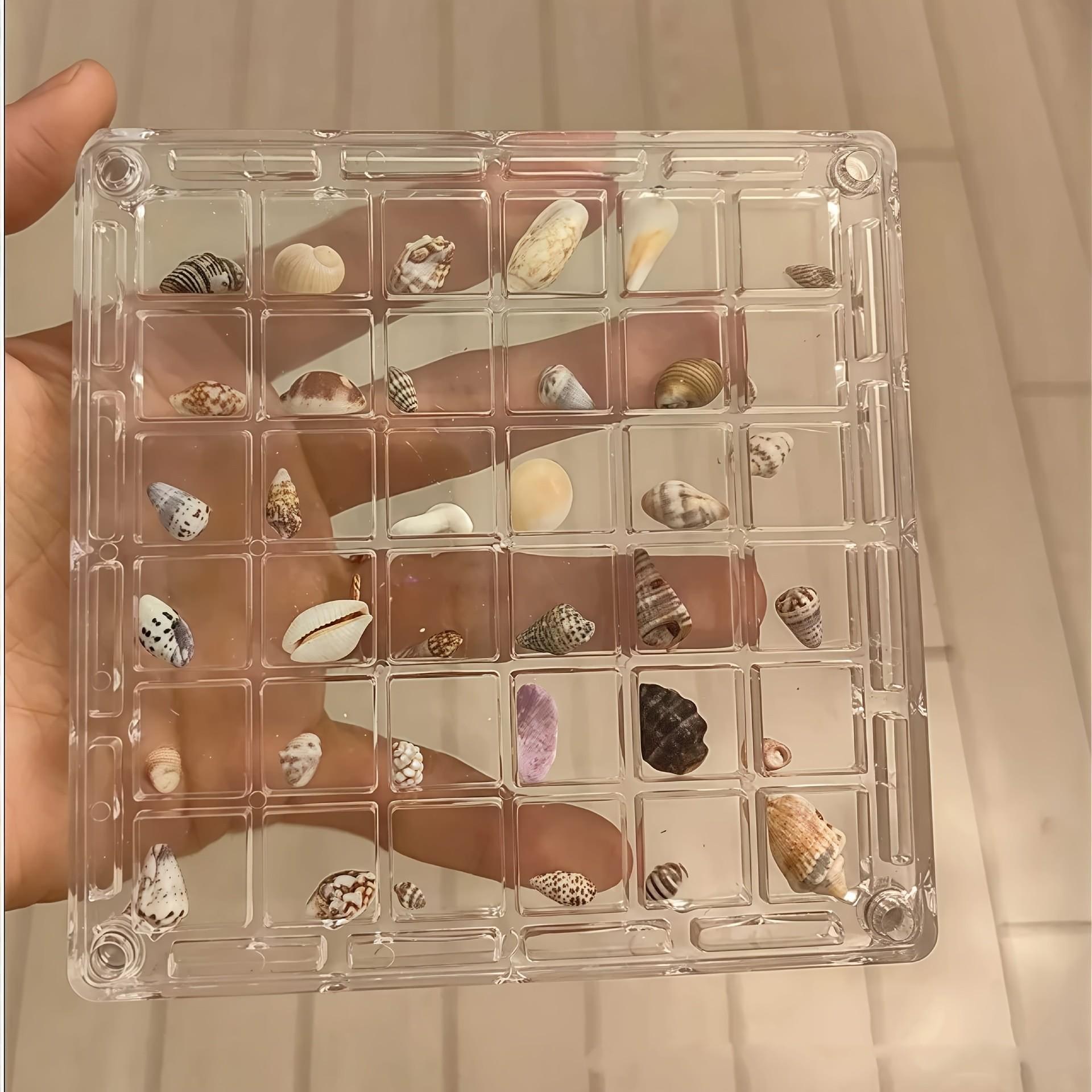 Square Acrylic Shell Storage Display Box, Transparent Specimen Showcase, 36-Grid Mini Shell Box, Magnetic Lid, High Transparency, Daily Collection