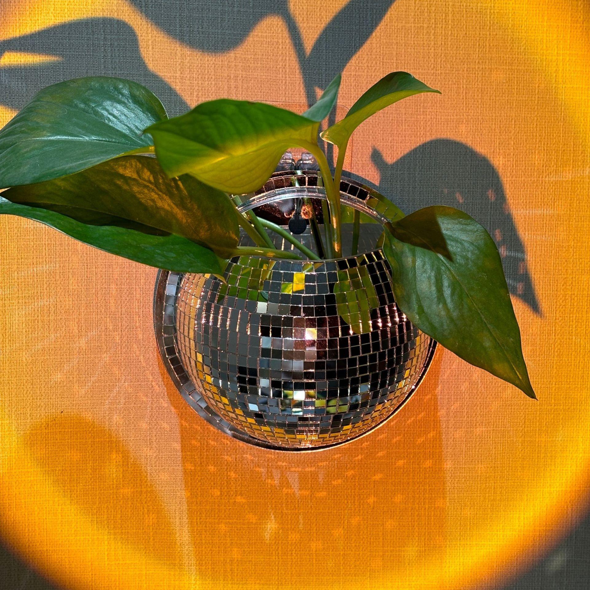 Wall-Mounted Disco Vase, Mirror Creative Hydroponic Pot, Wall-Hanging Decorative Planter, Flashing Mirror Refraction, Ideal for Bedroom, Balcony, Living Room, Entryway