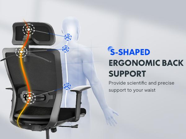 【TikTokShopBlackFriday】Executive Ergonomic Office Chair, Height Adjustable Mesh Computer Chair with Adjustable Headrest, Armrests, and Lumbar Support, Home Office Desk Chair, Gray