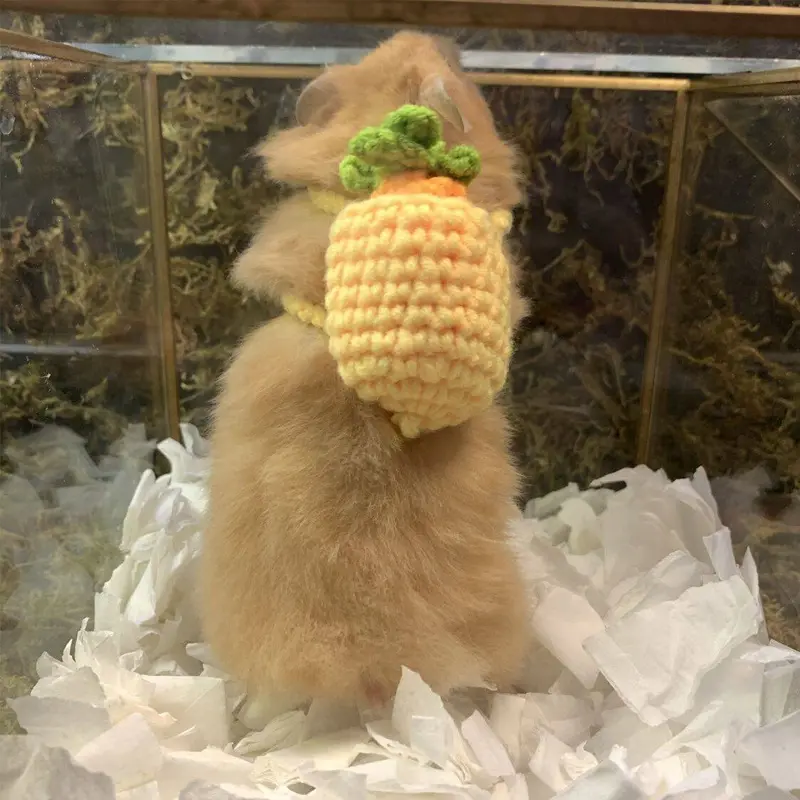 Hamster backpack, Syrian hamster basket, handmade schoolbag, small‑pet clothes, blanket, wool yarn, viral hat, costume, skirt