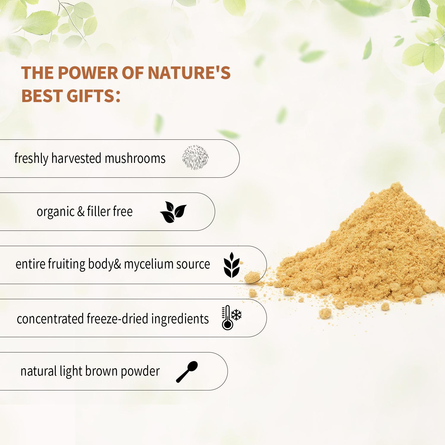 Hi Plus Organic Lion Head Mushroom Supplement Capsules | Natural Superfood to Support Brain Function, Energy and Immune Health | Non-GMO, Vegan, No Additives | 90 Veggie Capsules