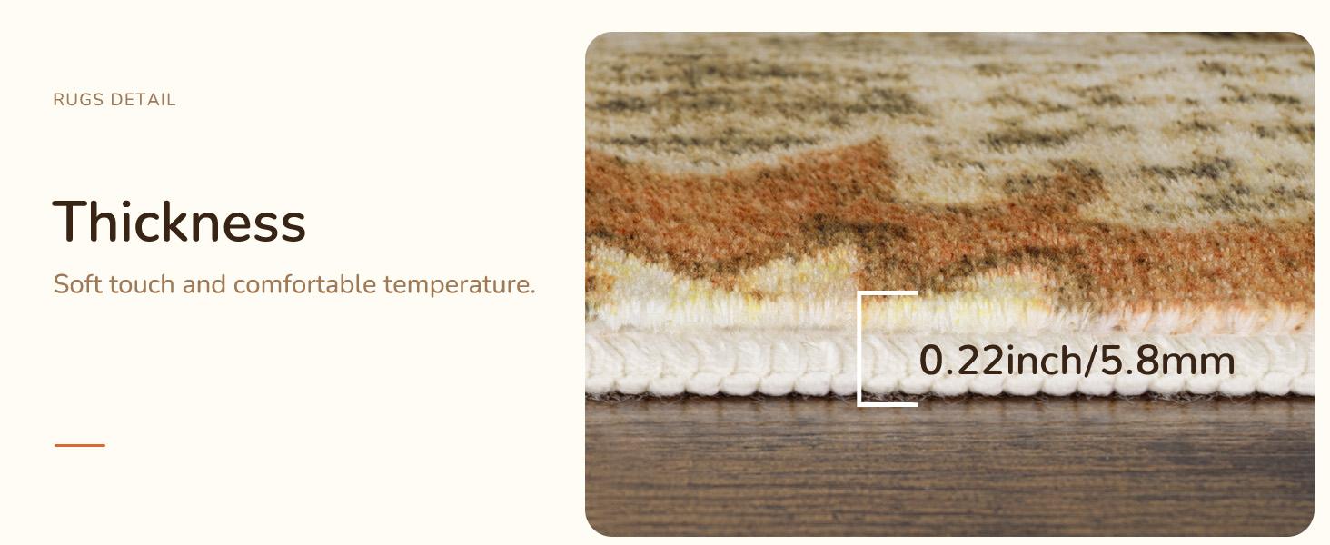 BESTSWEETIE 8*10/9*12/10*14 LARGE SIZE Washable Rugs for Living Room, Boho Rugs Area Rug Carpet Non-slip Large Area Rugs for Living Room Bedroom Indoor Outdoorfun