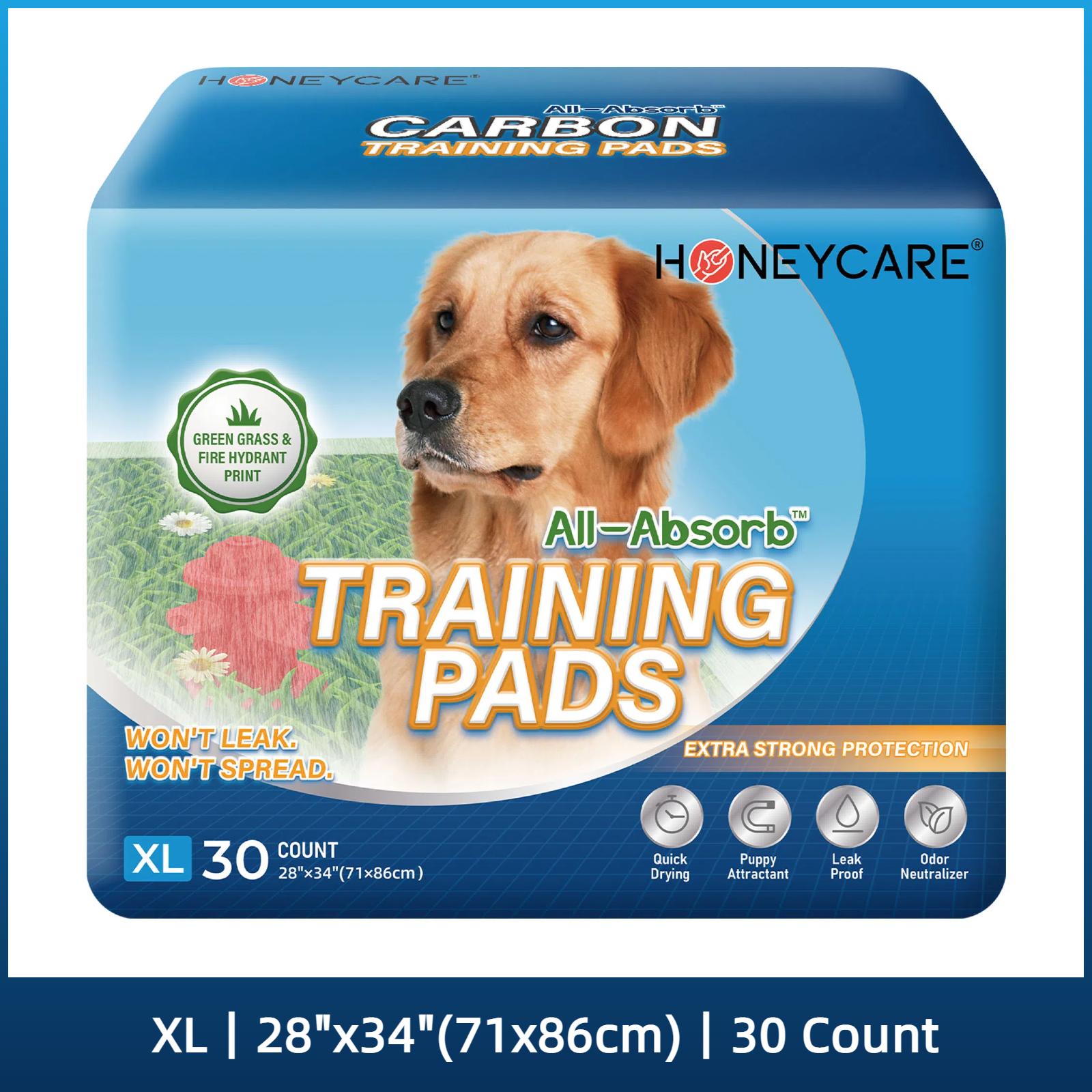 HONEYCARE :  All-Absorb Gigantic Dog and Puppy Training Pads, Incontinence Training Pads, Pee Pads