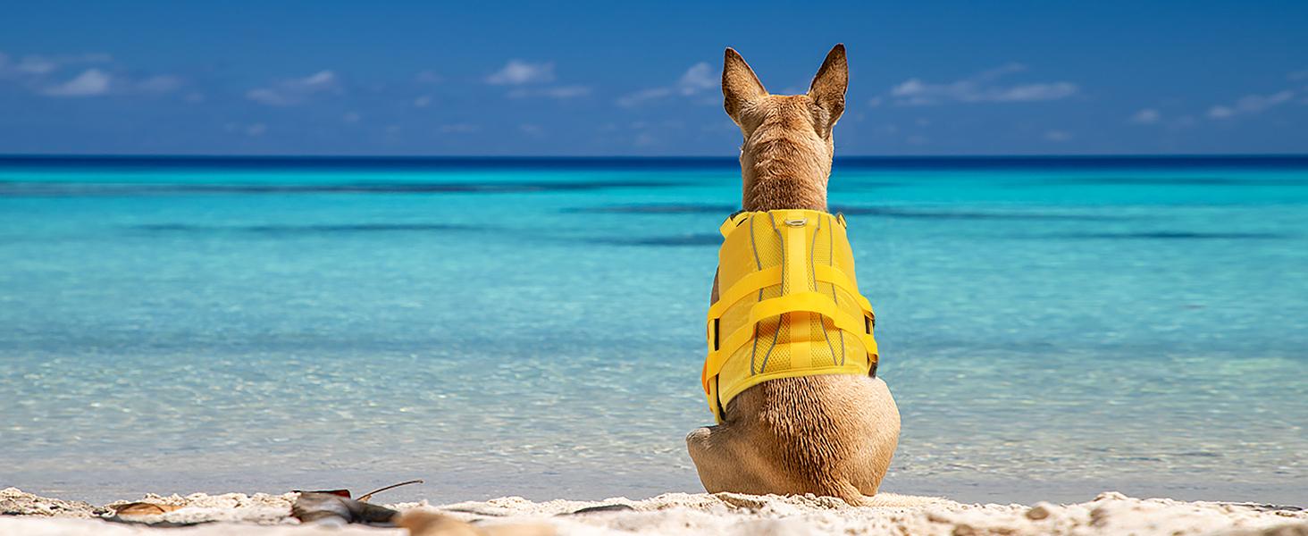 Kuoser Dog Life Jacket High Buoyancy, Reflective Dog Life Vest for Swimming Boating, Adjustable Small Medium Large Dog lifejacket, Lightweight Dog Life Preserver Rescue Handle Spring Summer Pool