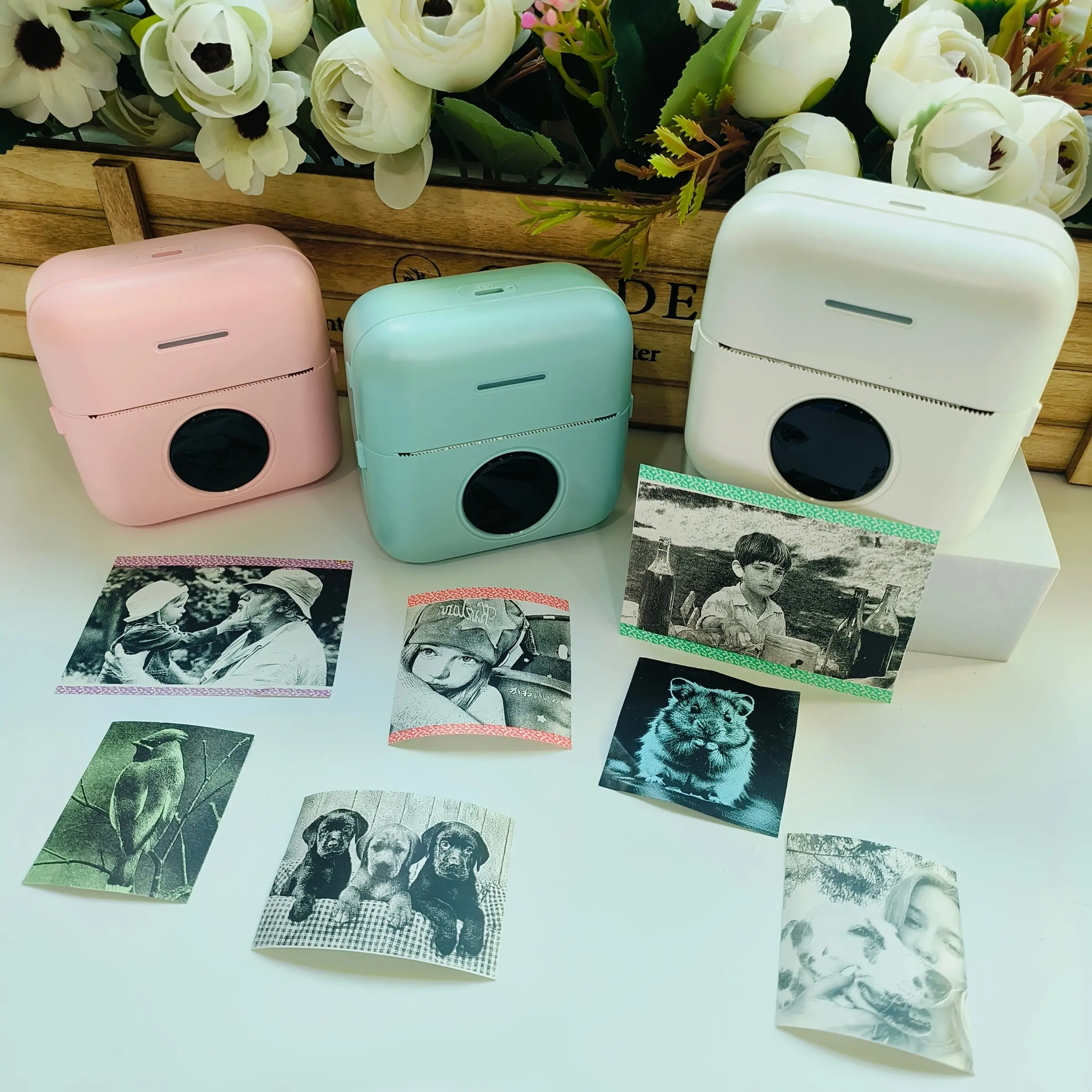 Portable Mini Printer, Inkless Thermal Printing, Photo Printing, Ideal for DIY Notes, Photos, Study Notes, Holiday Gifts