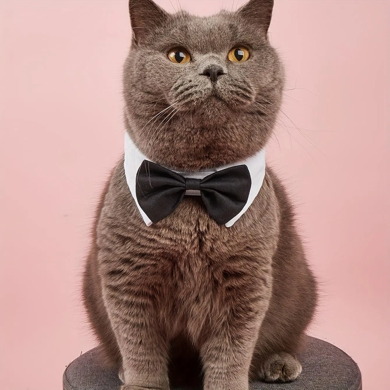Chic Adjustable Pet Bowtie in Black & White - Comfortable Polyester, Ideal for Weddings & Parties - Perfect Accessory for Small to Extra Small Dogs and Cats, Dog Bow Tie