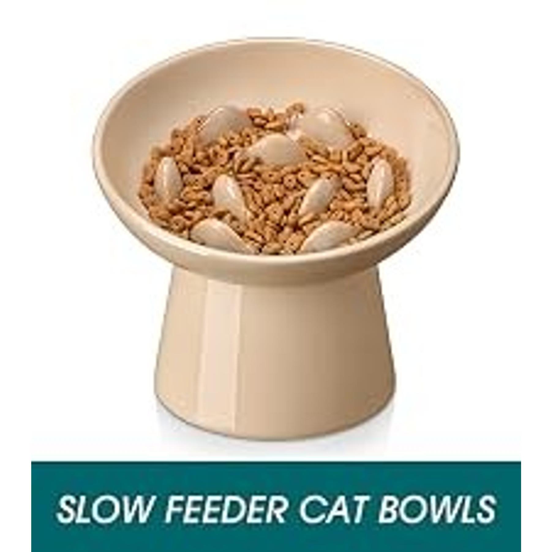 Elevated Ceramic Slow Feeder Cat Bowl, 6.25in Anti-Vomiting Bowl for Dry & Wet Cat Food, White, Elevated Bowl