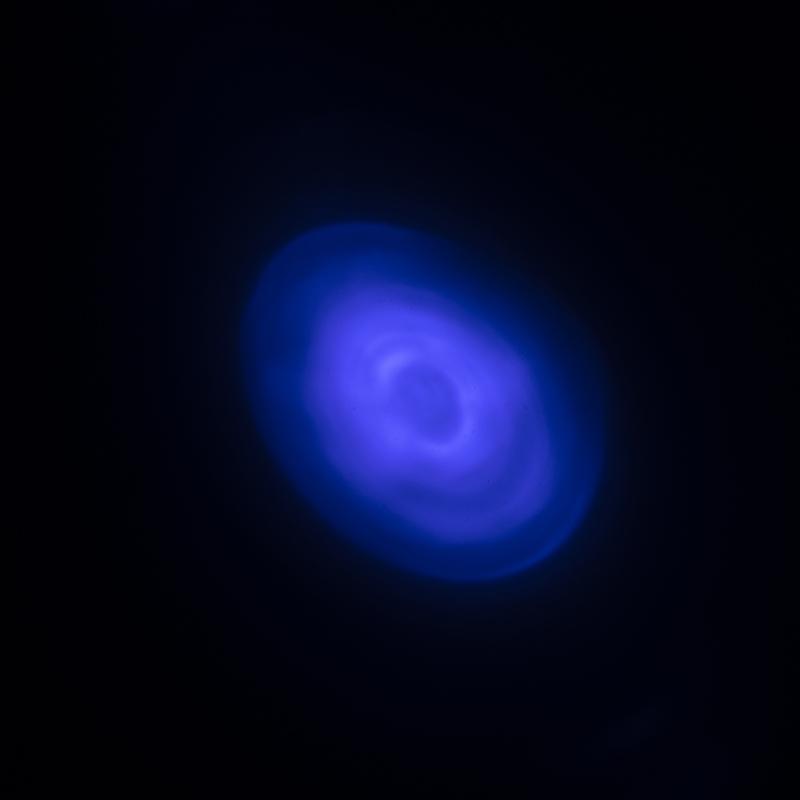 USB Rechargeable Laser Pointer Cat Toy, 5 Modes Red Dot LED Light, Interactive Chaser Tease Stick for Indoor Cats & Dogs, Long Range Lazer Projection for Training & Exercise