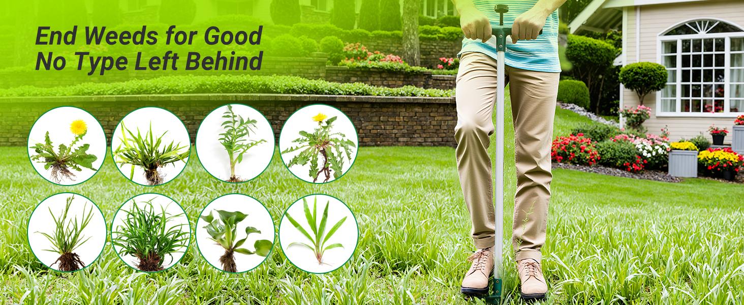 Walensee Stand-Up Lawn Root Puller – Heavy-Duty Garden Tool with 3 Claws – Effort-Saving Step-and-Pull for Dandelions & Deep-Root Plants – Fall Cleanup & Black Friday Gift Idea