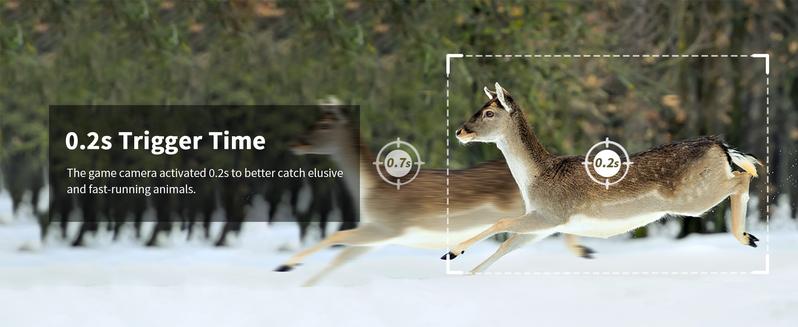 Dual Lens Linkage 4G LTE Cellular Trail Cameras DC24S-Solar Powered Surveillance, 360° Pan Tilt,2K Live View, No WiFi, Cellular Data Replenishment Required