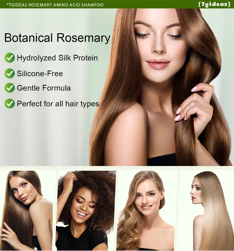 Product Introduction of 【 Buy 1-Get 1 Free!】Tgideas Anti-Hair Fall Hair Loss Treatment Shampoo Oil Control Anti Dandruff Haircare Rosemary Zinc PCA Help Hair Growth Amino Acid Hydrolyzed Protein Repair Reduce Hair Loss Scalp Cleanser Conditioner 250ML Gentle Smoother 23