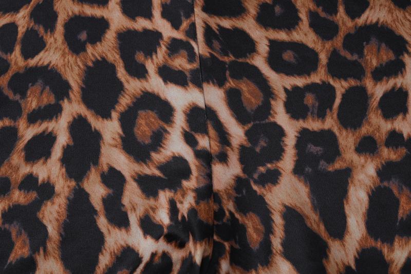 Women's Leopard Print V Neck Long Sleeve Romper, Ladies Spring Fall Winter Party Club Date Holiday Daily Casual One-piece Set Shorts Jumpsuits Playsuits For Everyday Wear