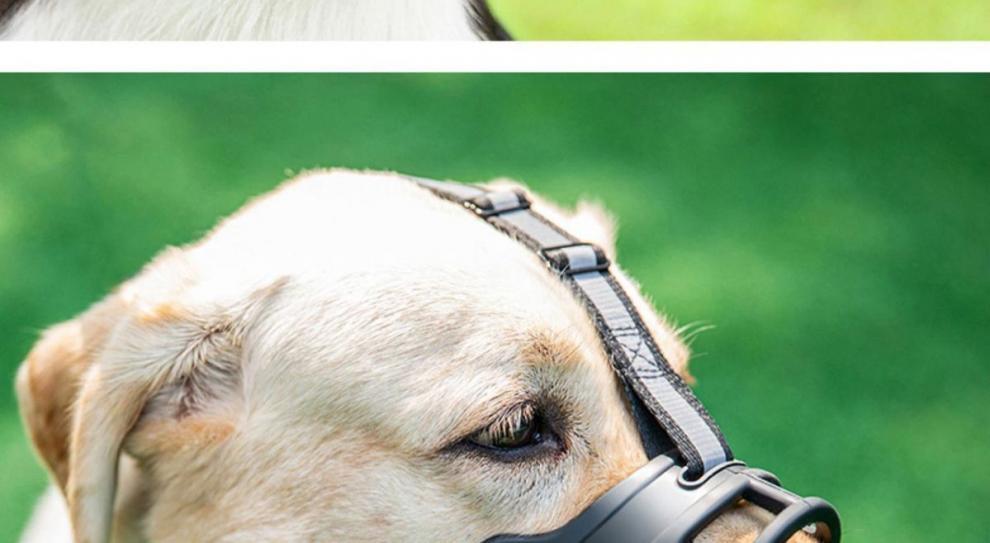 2026 Dog Muzzle to Prevent Eating and Barking, Anti-Barking Device for Small, Medium, and Large Dogs, Pet Anti-Barking Mouth Cover