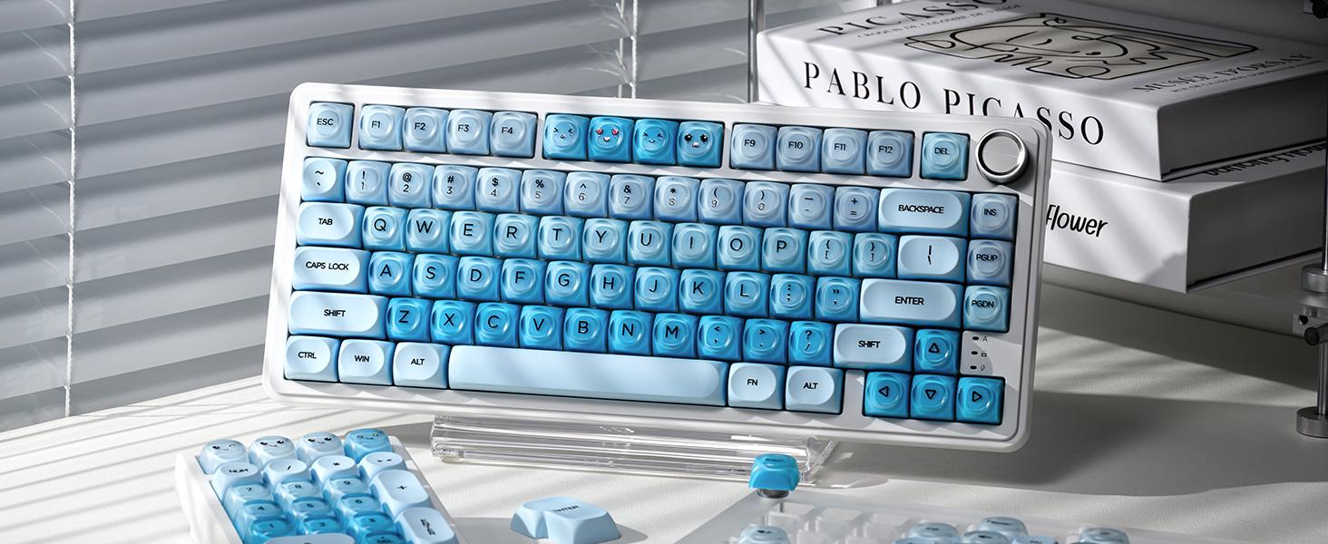 Keycaps Only!!! XVX Foundation/Pink Blush/Uyuni Dreams/Berry Kiss HOA Profile Translucent Keycap Set PBT+PC 132-Key（only keycap, not include a keyboard）