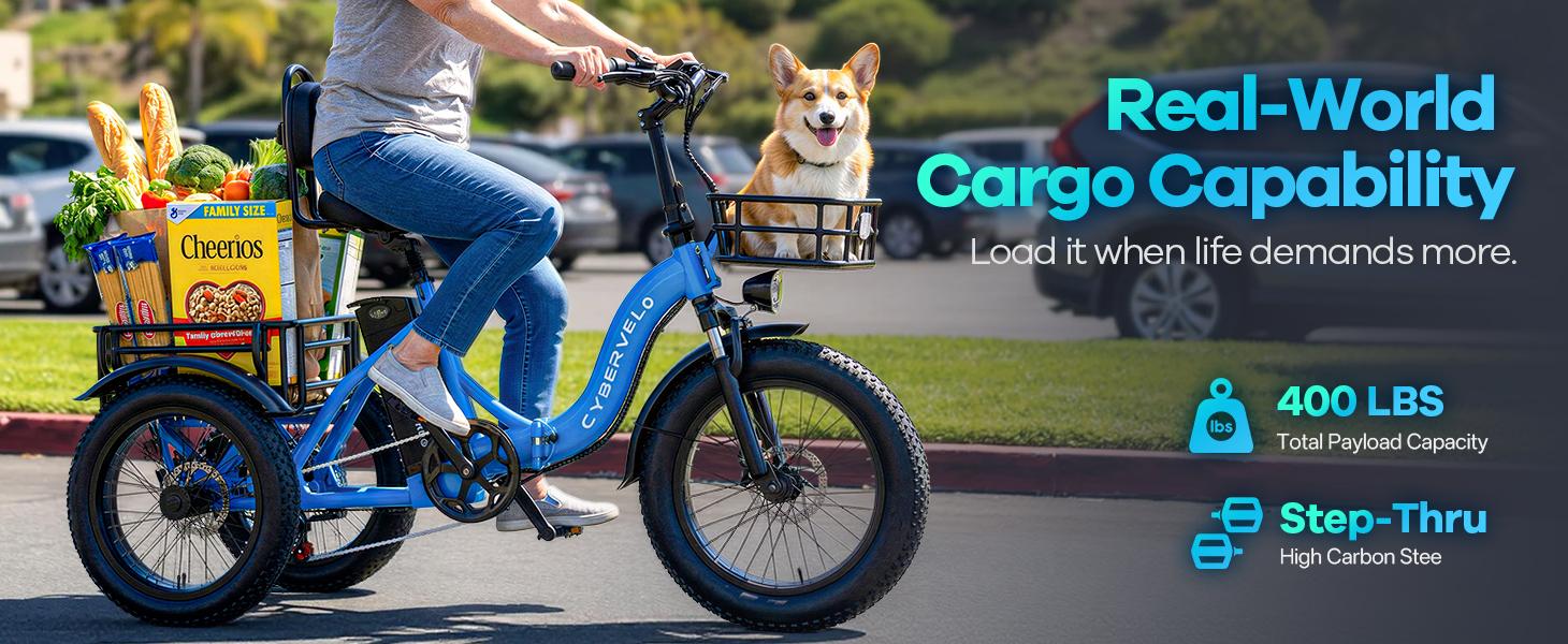 Electric bicycle for adults , three wheels electric bicycle, 48V20.8 Ah large removable battery ,20inch bike with basket ,bicycle for comment  beach  man womens  all terrain , one year warrenty  ,Cybervelo ebike C16