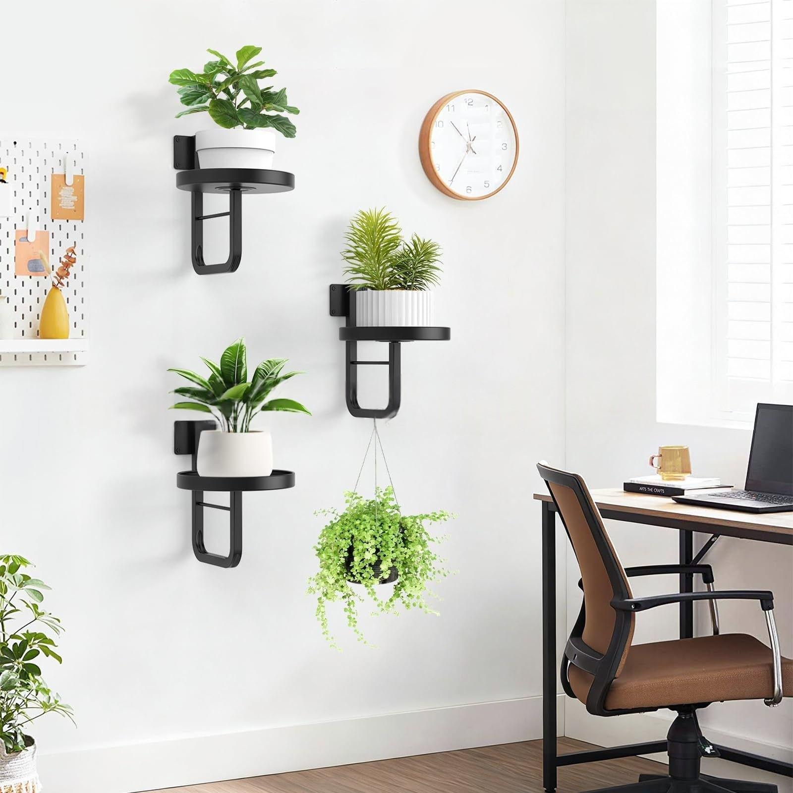 Wall-Mounted Plant Stand, Metal Wall-Hanging Planter Shelf, Indoor Plant Frame, Home Decor, Vertical Gardening Solution, Wall Plant Holder