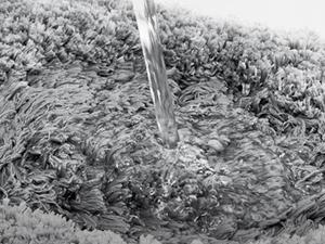 Deconovo Luxury Bath Rugs (1.6" Thick) – Soft, Non-Slip, Water Absorbent Microfiber – Machine Washable Shaggy Mats for Bathroom, Bedroom, Kitchen & Pets Deconovo Luxury Bath Rugs (1.6" Thick) – Soft, Non-Slip, Water Absorbent Microfiber – Machine Washable Shaggy Mats for Bathroom, Bedroom, Kitchen & Pets