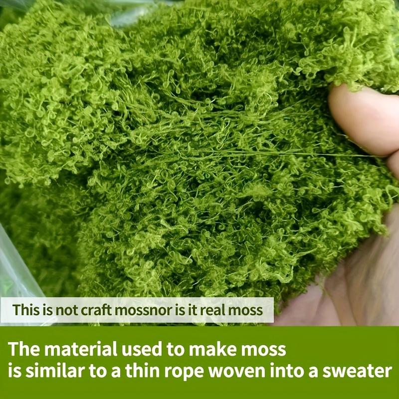 Preserved Sheet Moss, Natural Green Decorative Moss for Plant Walls, Terrariums, Home Decor & Crafts, Long-Lasting No-Water Artificial Moss